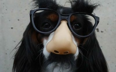 我這麼優秀，但是公司都不教我