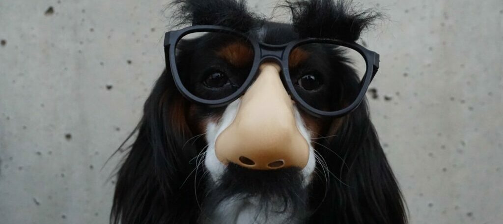 我這麼優秀，但是公司都不教我